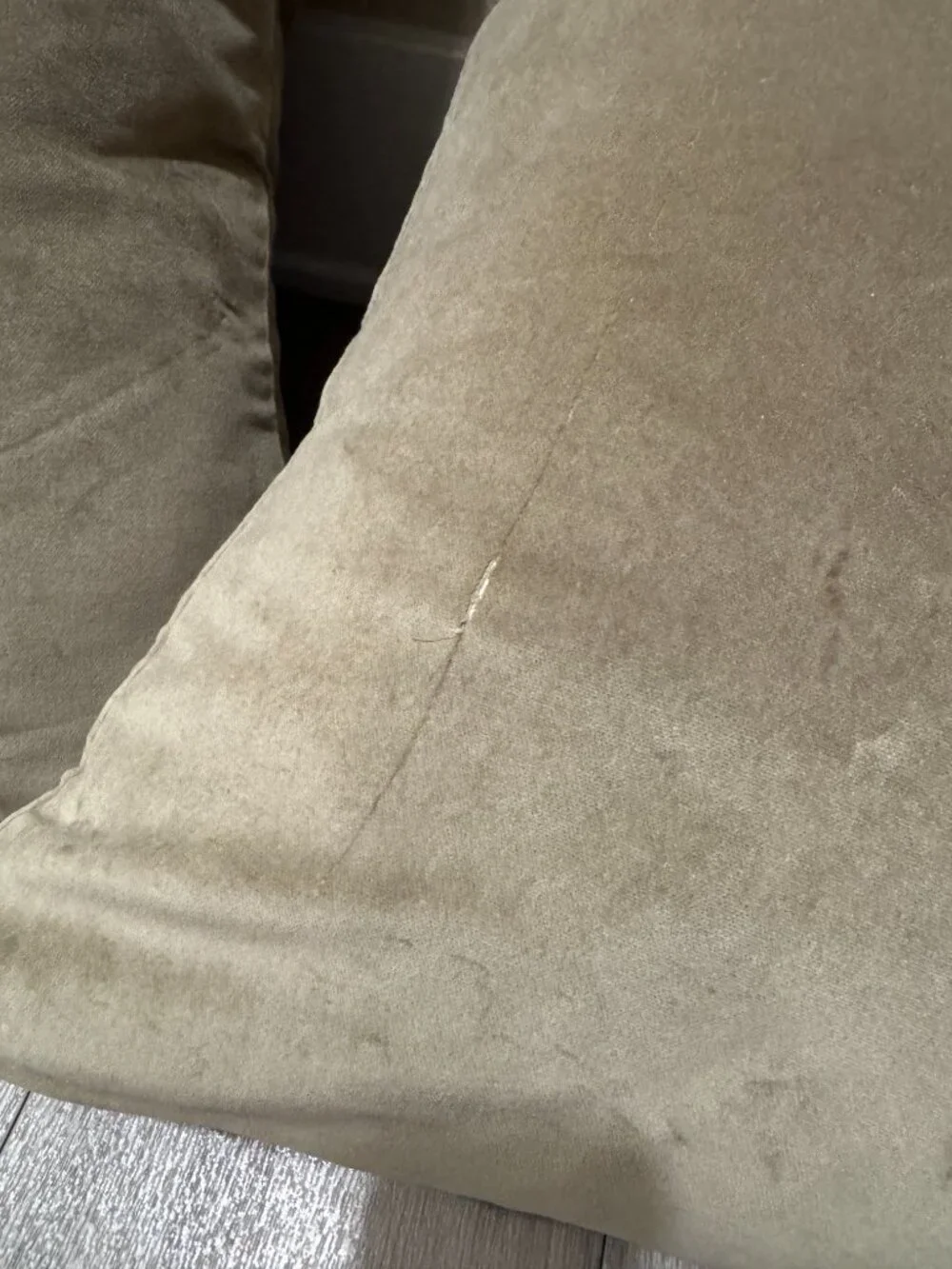 Pottery Barn Olive Green Velvet Throw Pillow Pair